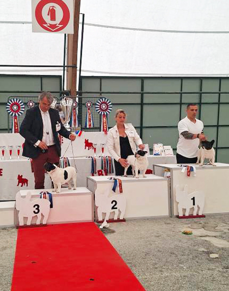 Classe champion