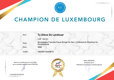 diplome