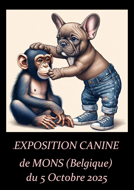 Affiche Mons