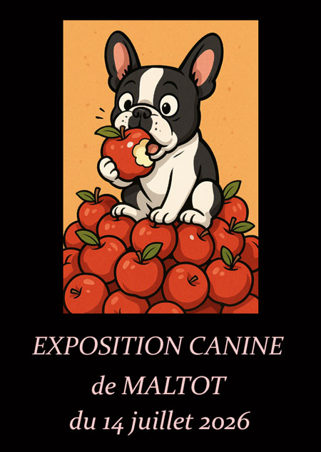 affiche-maltot
