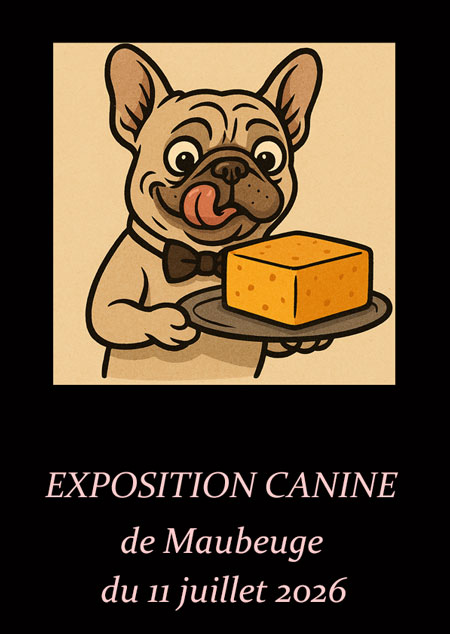 affiche Maubeuge